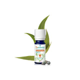 Organic Globular Eucalyptus Essential Oil