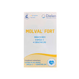 Molval Fort