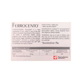 Ferrocento