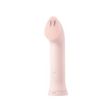 Age-R Booster Cleanser Head