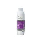 Organic Lavender Shampoo