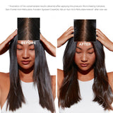 Kérastase Symbiose Purifying Anti-Dandruff Shampoo - Skin Society {{ shop.address.country }}