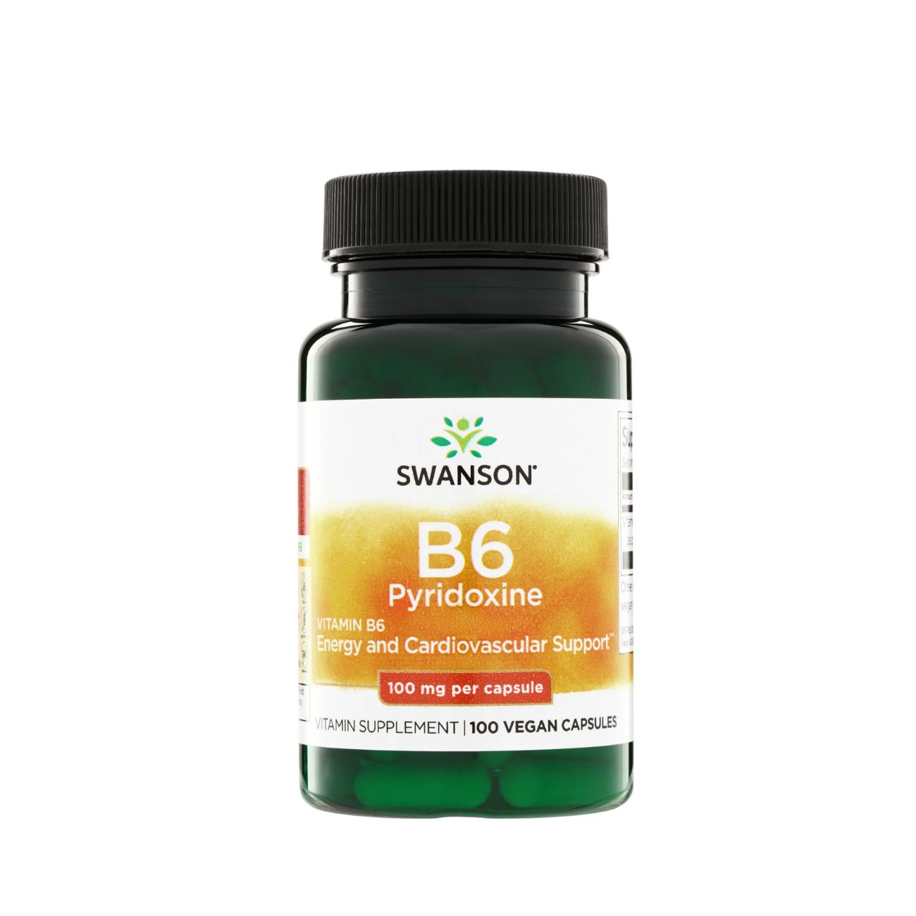 Swanson Vitamin B6 100 Mg