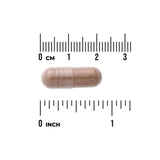 Rhodiola Rosea Root 400Mg