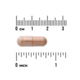 Grape Seed 380 Mg