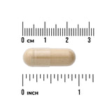 Horsetail 500 Mg