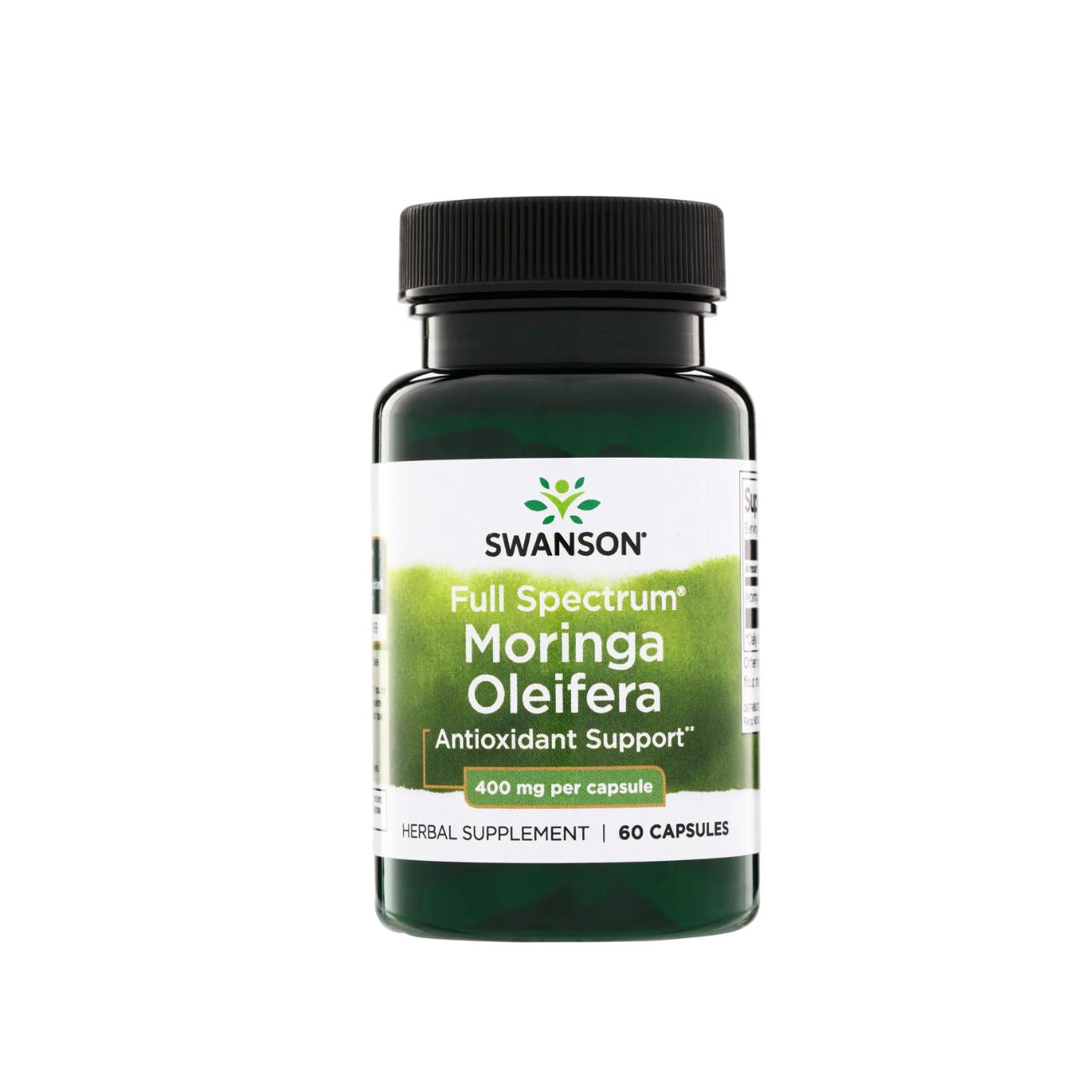Moringa Oleifera