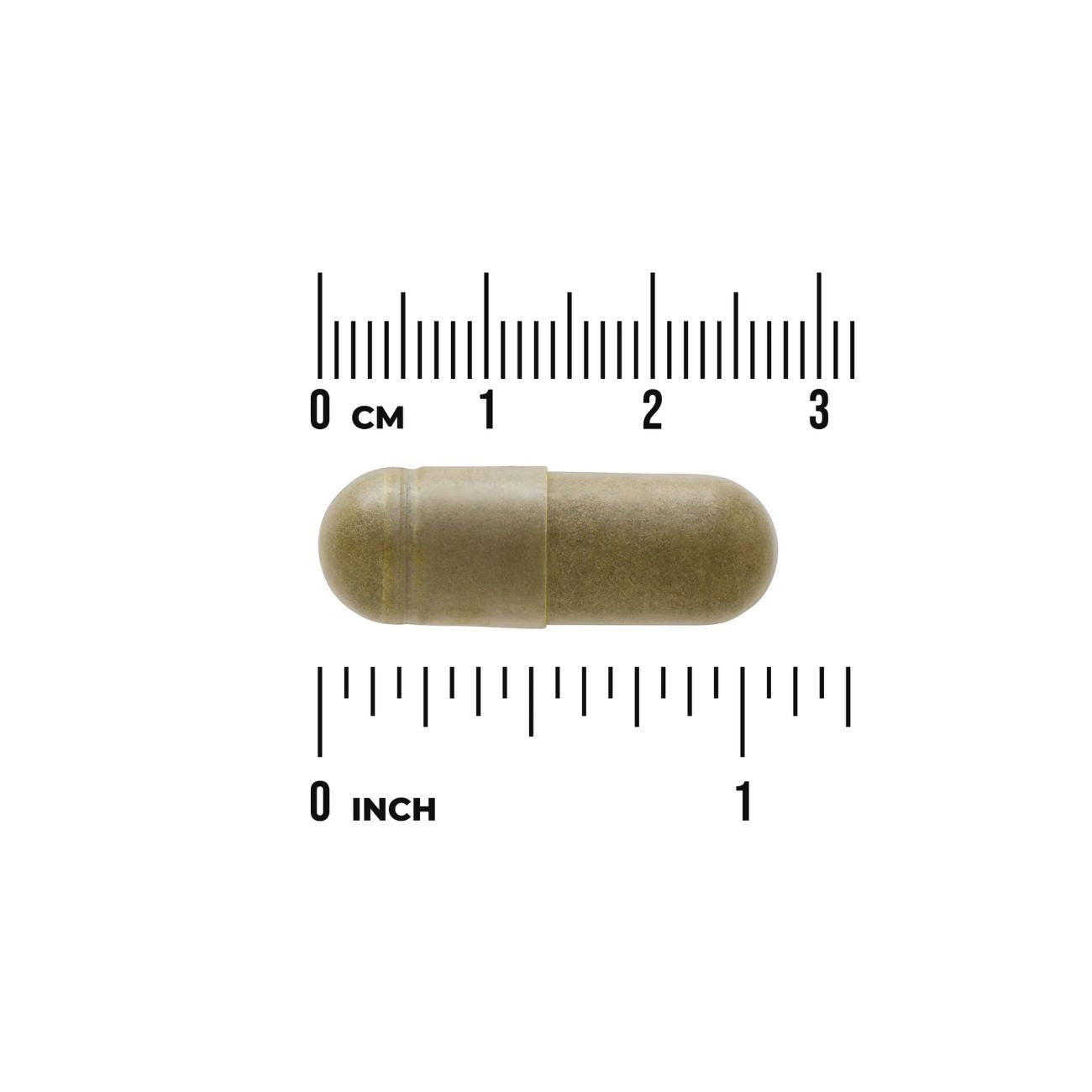 Moringa Oleifera