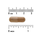 Slippery Elm Bark 400 Mg