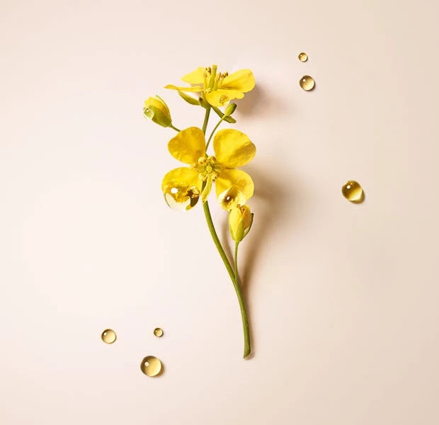 Absolue Kératine Repairing Beauty Cream - Damaged, Over-Processed Hair
