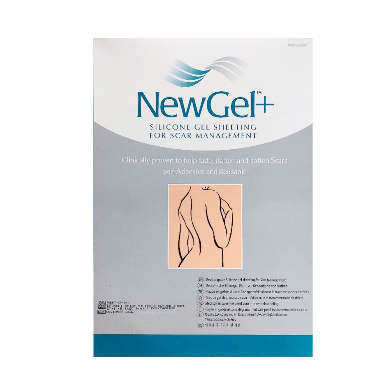 Abdomen 2Pcs (NG-160)