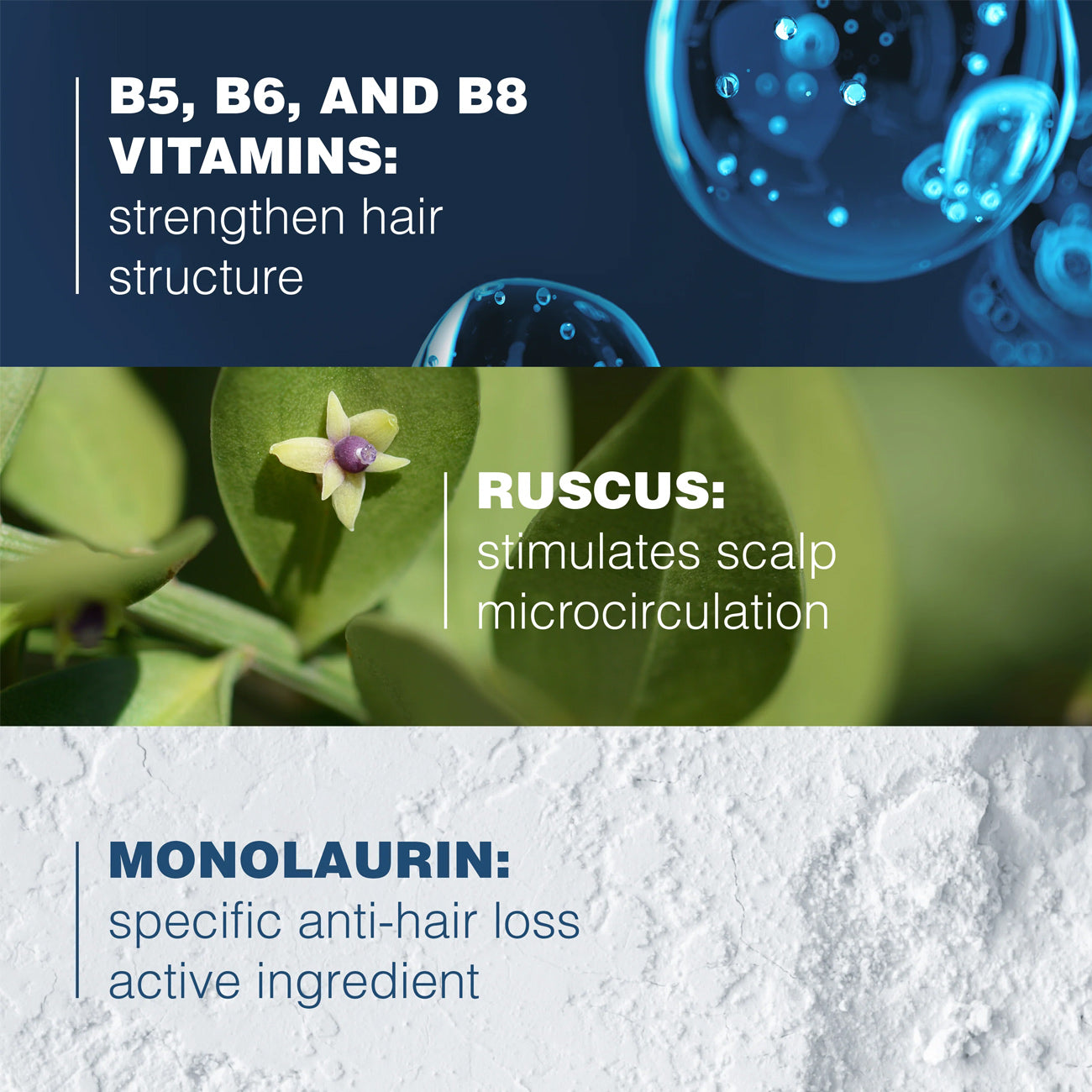 Anaphase+ Anti-Hair Loss Complement Shampoo