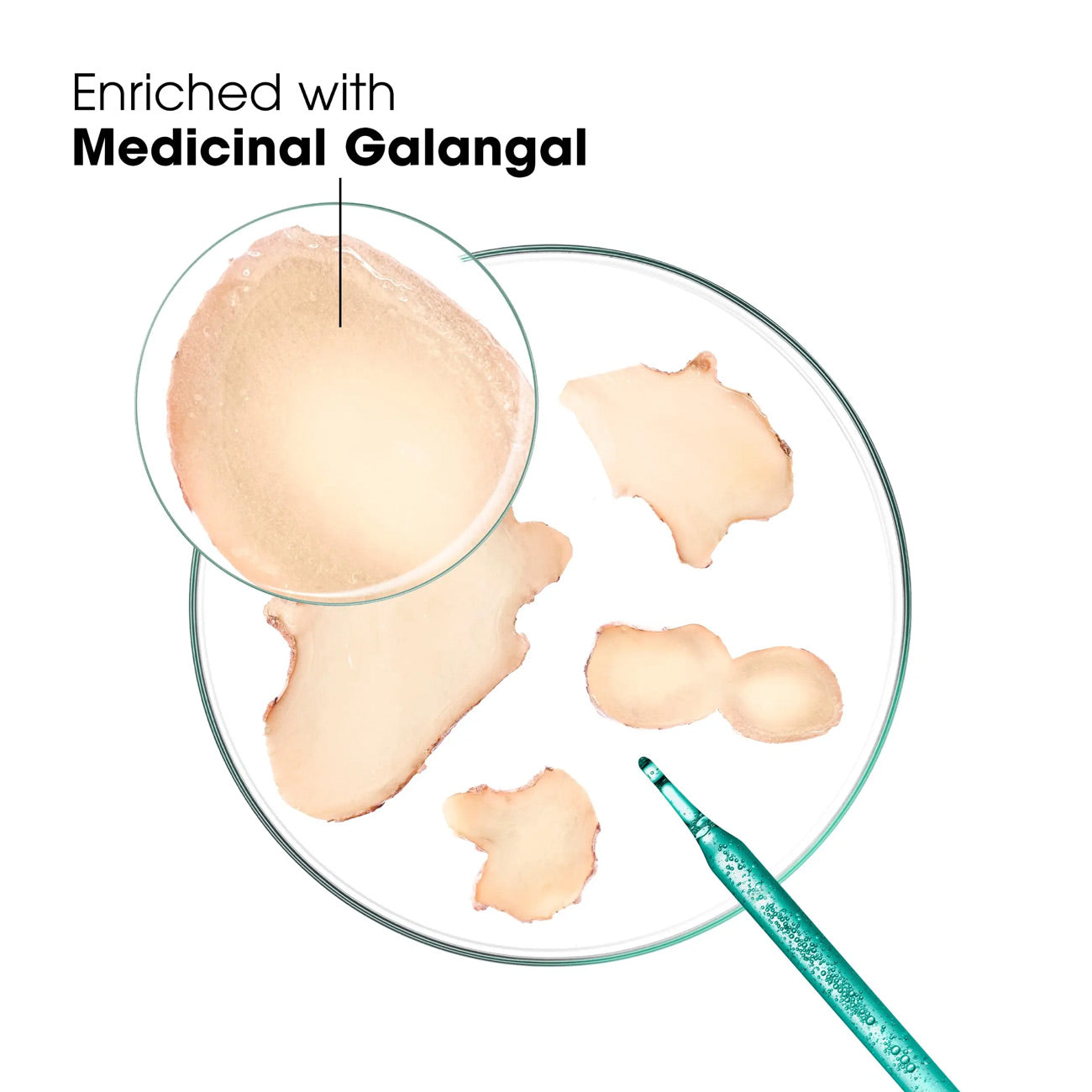 Anti-Dandruff Rebalancing & Treating Shampoo With Galangal