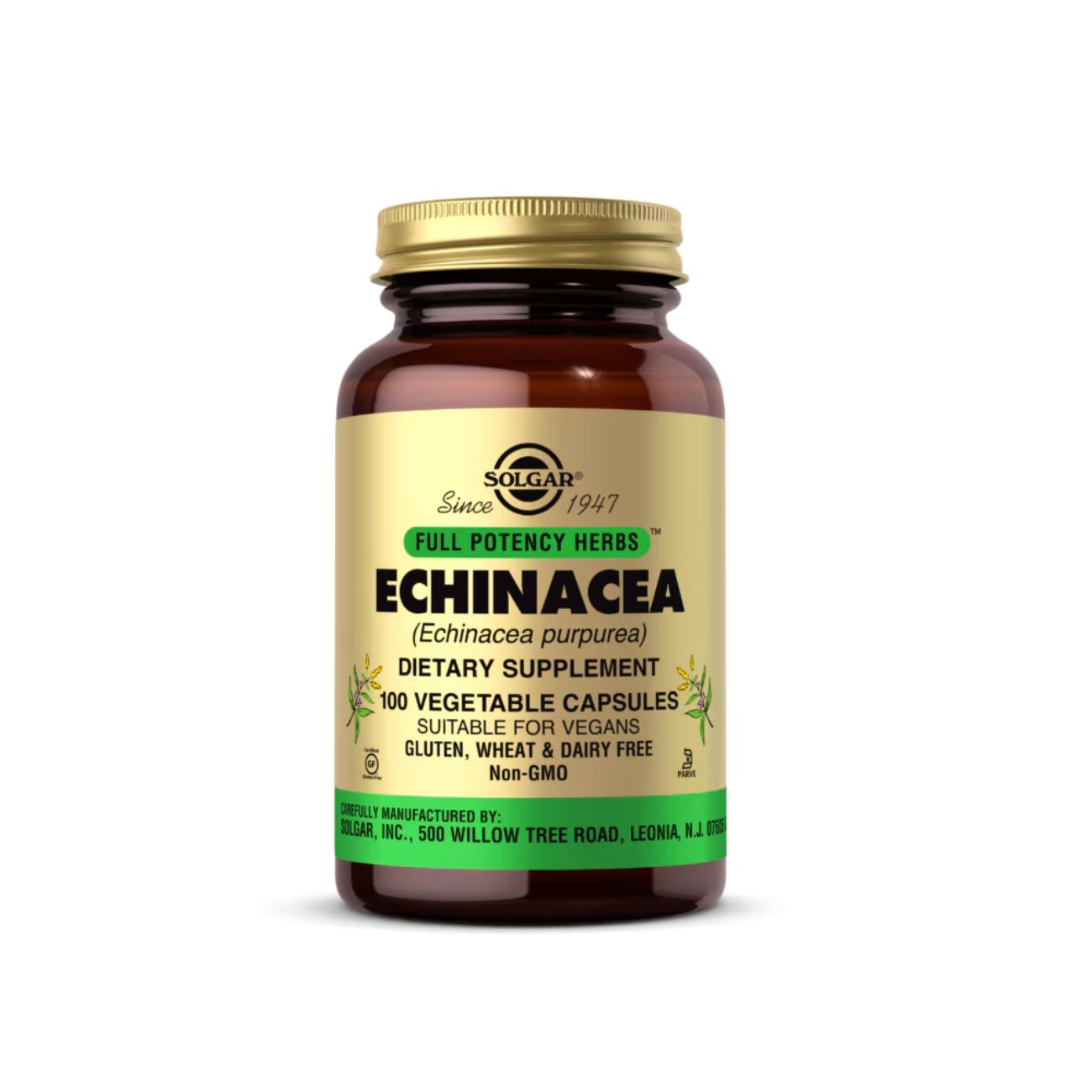 Solgar Echinacee
