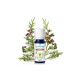 Cypress Essential Oil