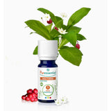 Organic Wintergreen Essential Oil