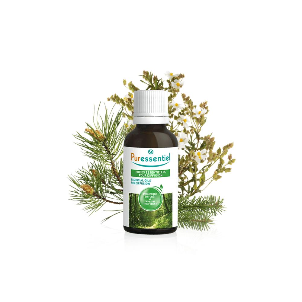 Walk in the Forest Essential Oils for Diffusion