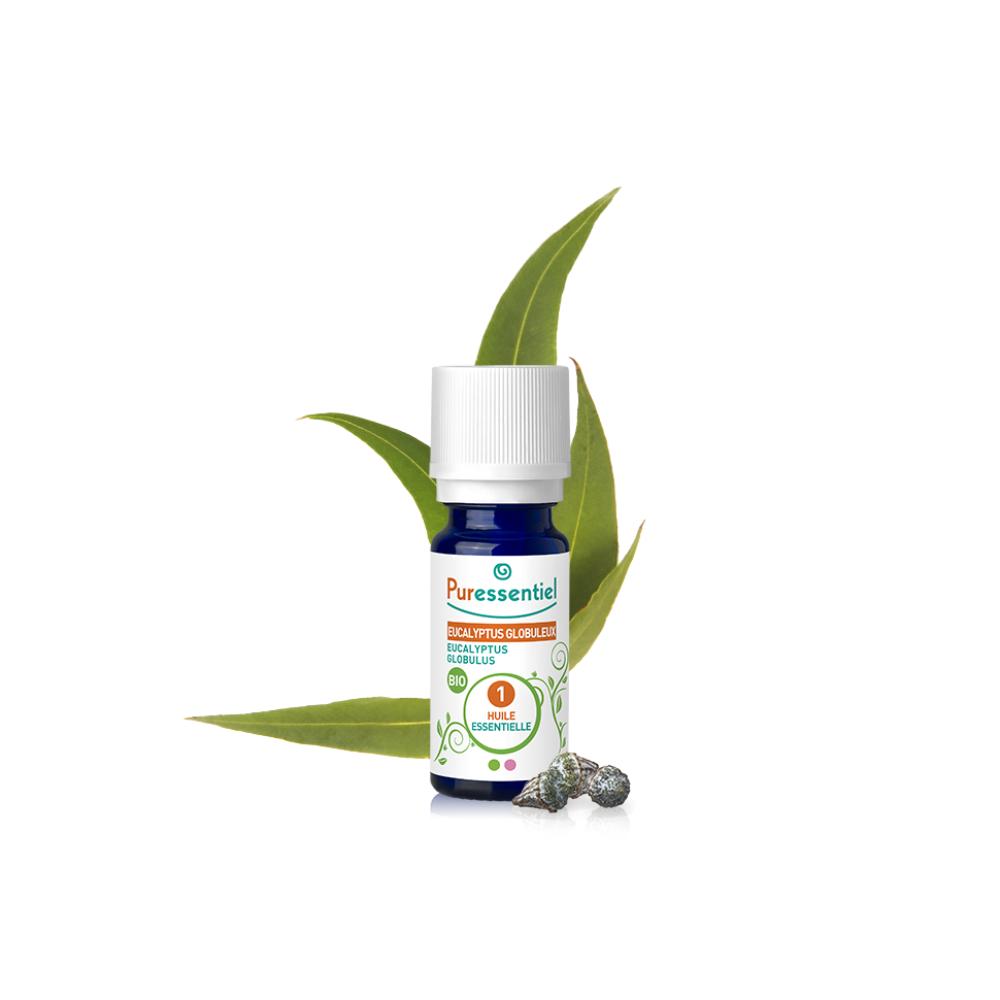 Organic Globular Eucalyptus Essential Oil