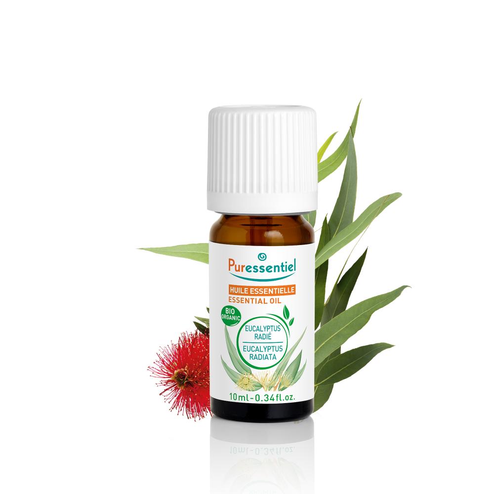 Organic Radiated Eucalyptus Essential Oil