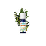 Myrtle Essential Oil