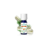 Niaouli Essential Oil