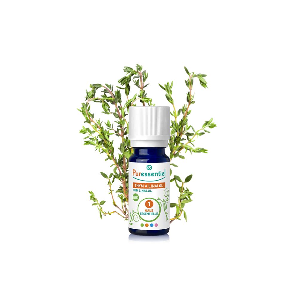 Thyme Linalol Essential Oil