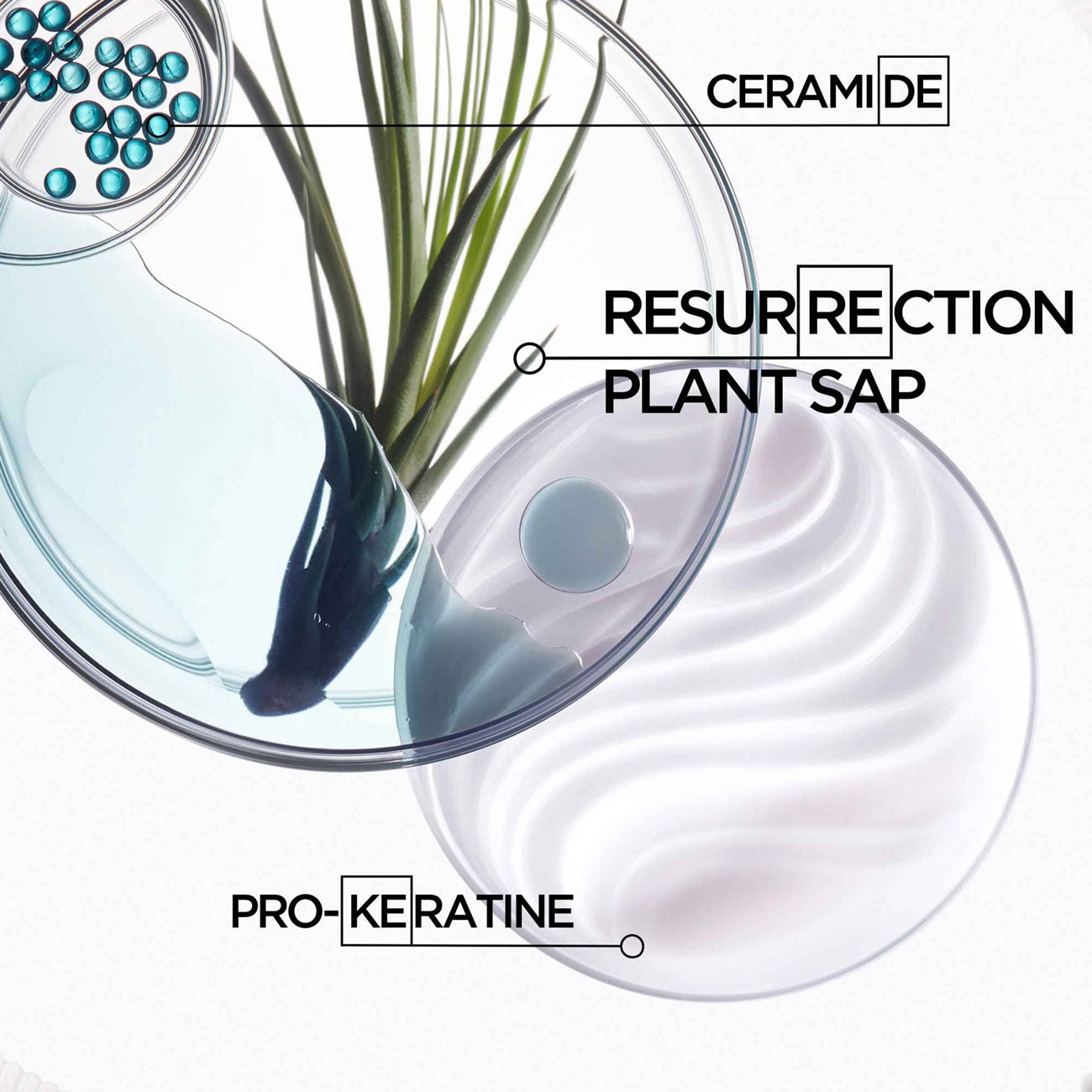 Resistance Bain Force Architecte Strengthening Shampoo - Brittle, Damaged Hair - Split Ends