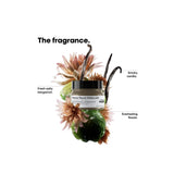 Absolut Repair Molecular - Professional Mask