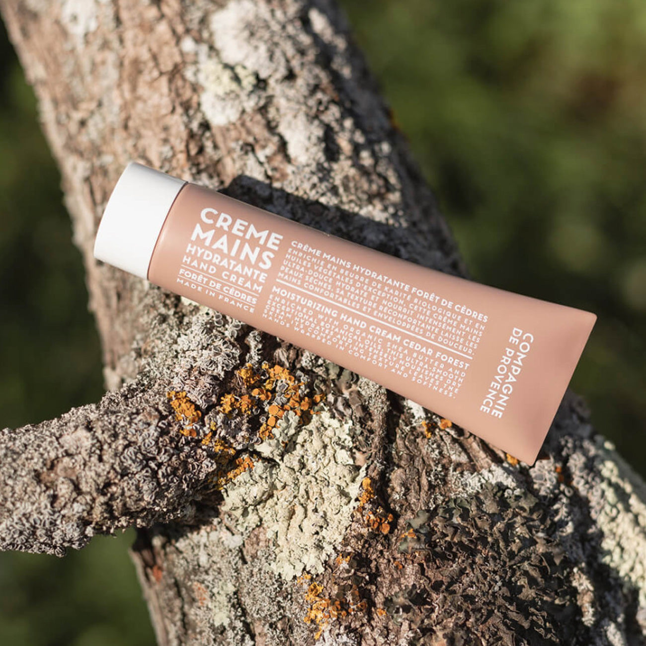 Hand Cream Cedar Forest