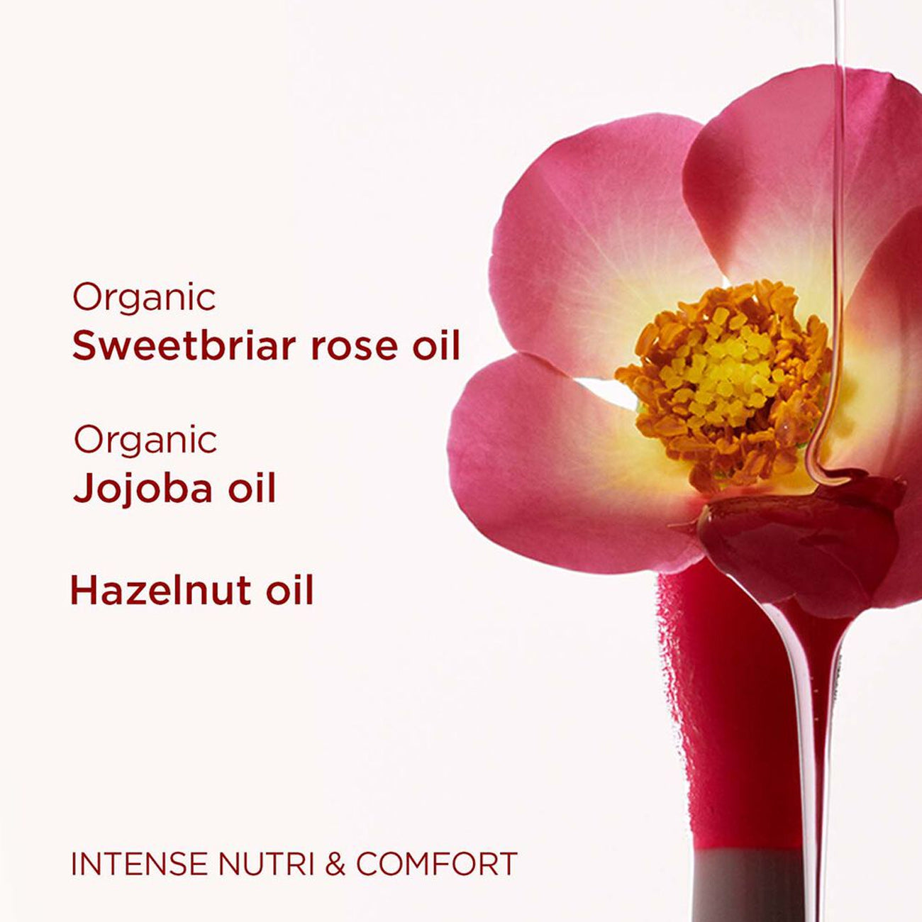 Lip Comfort Oil Limited Anniversary Edition