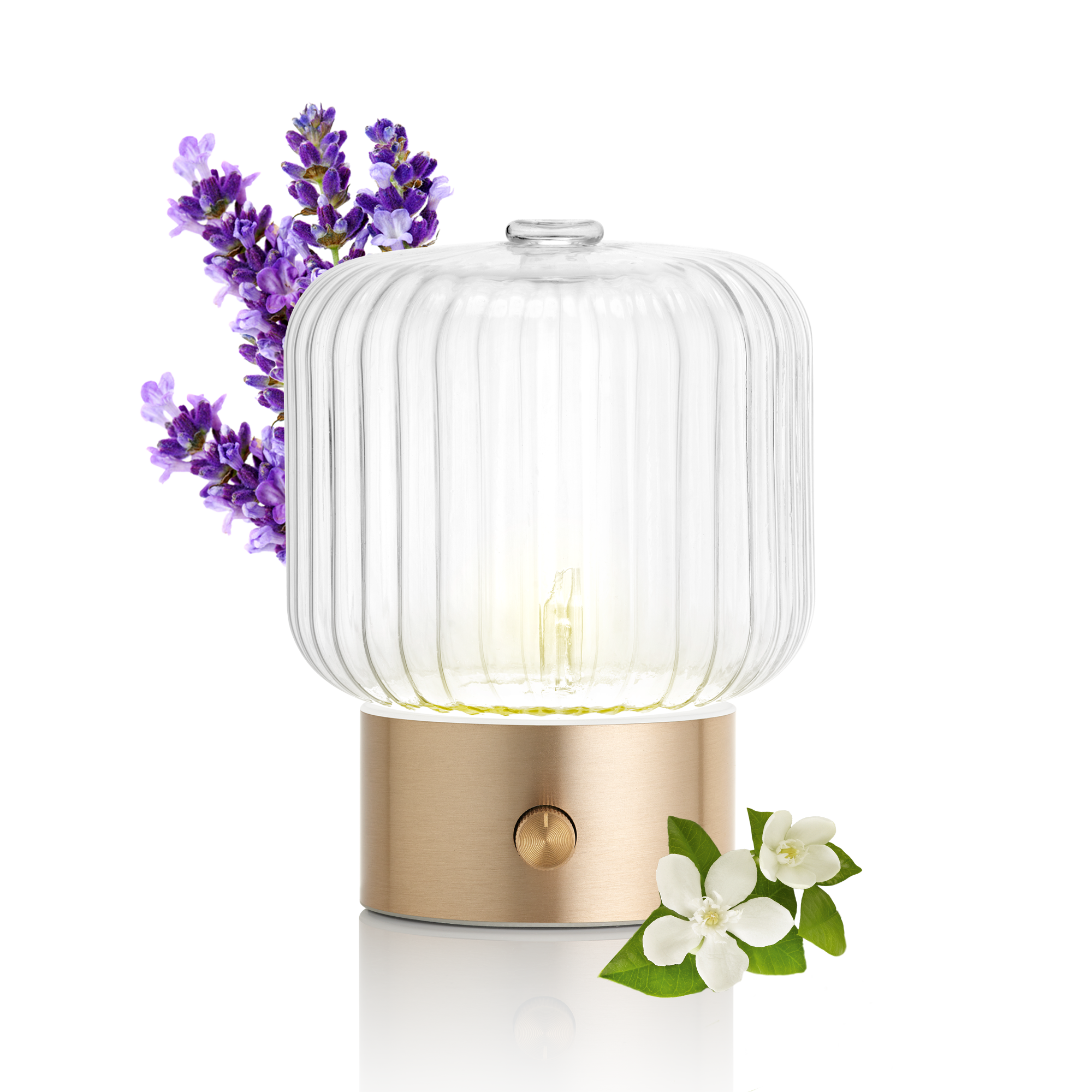 Vera Diffuser - Nebulizing Diffuser