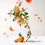 Fleur d'Osmanthus - Fragrant Wellbeing Water