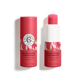 Gingembre Rouge Sublimating Lip Balm