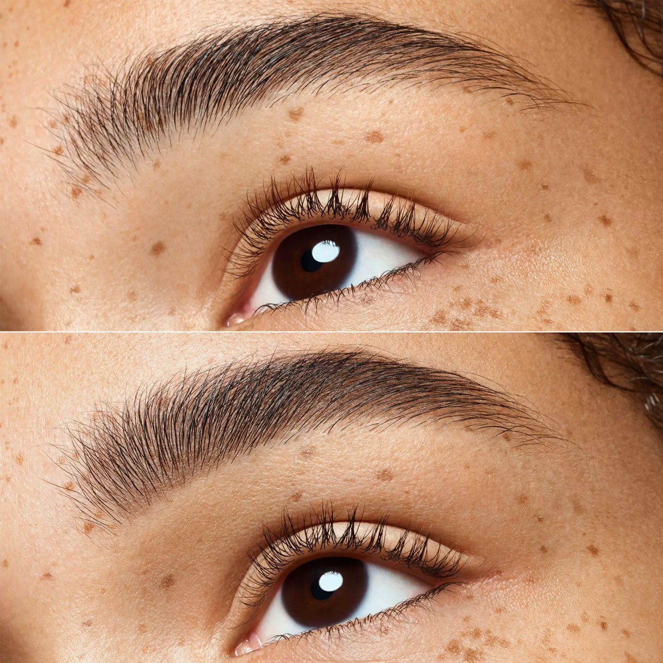 Eyebrow Powder Duo