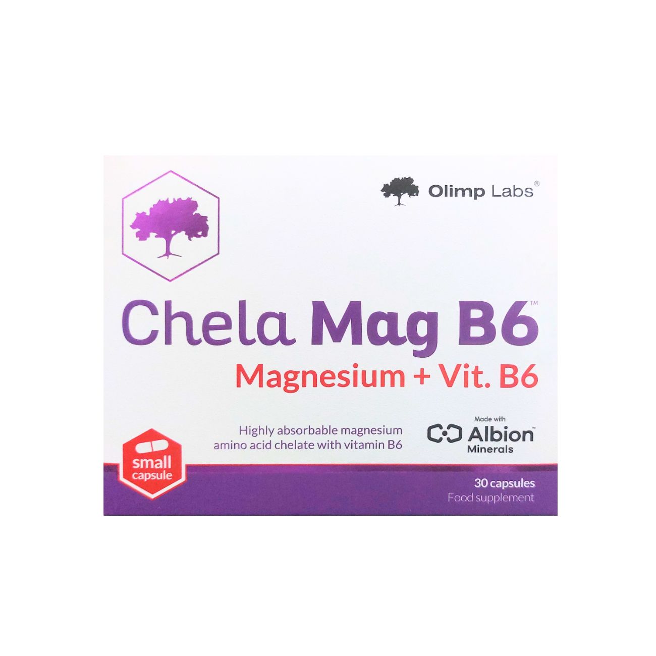Chela-Mag B6 100 Mg