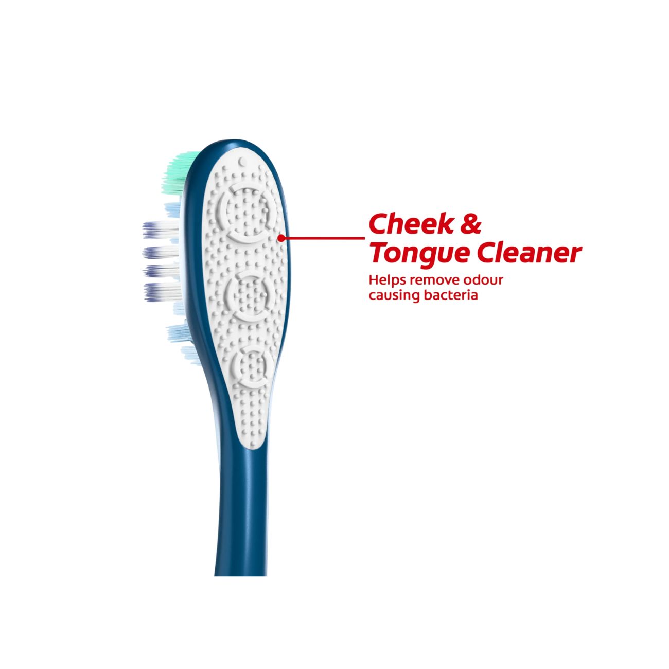361 Whole Mouth Clean Soft Toothbrush -Pack of 2