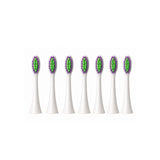 6 Brush Heads Renew & Revitalize