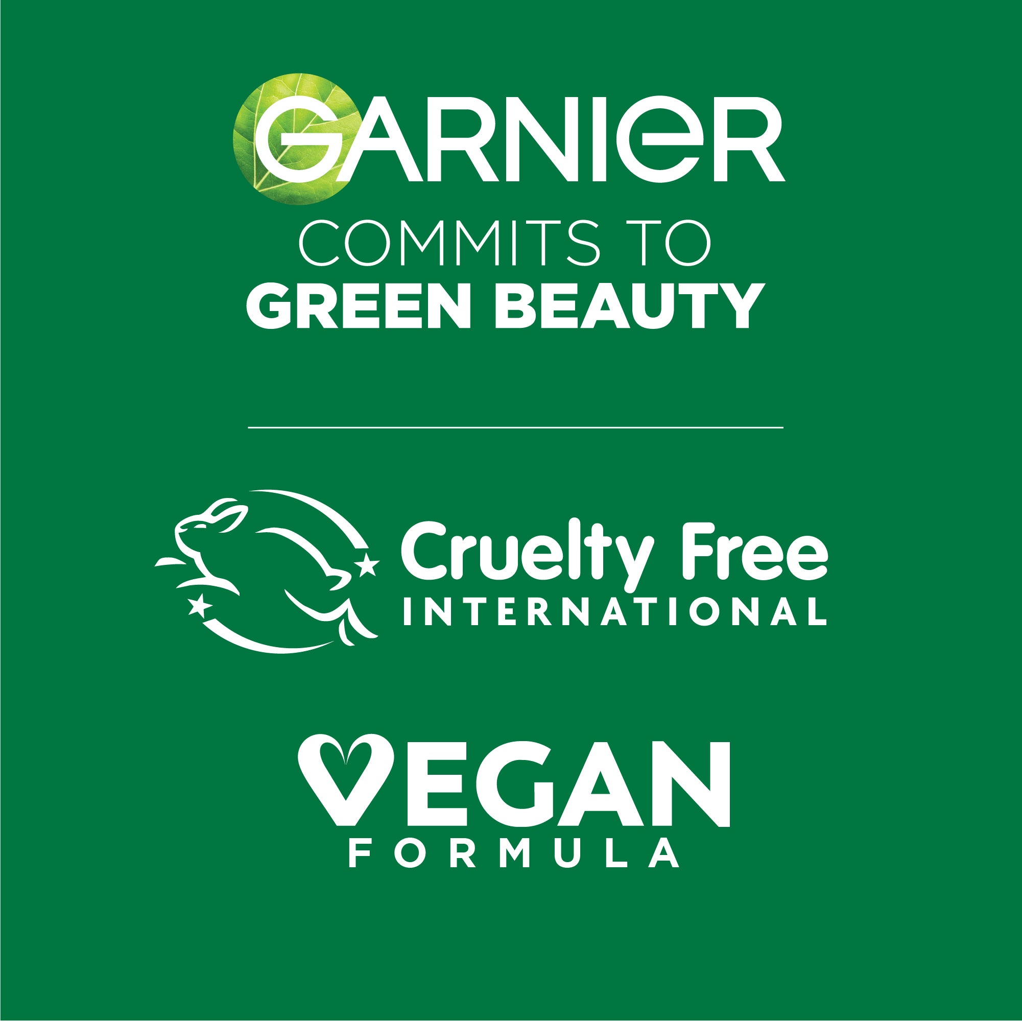 Garnier Skin Active Fast Bright Vitamin C + Niacinamide 30x Brightening Booster Day Serum