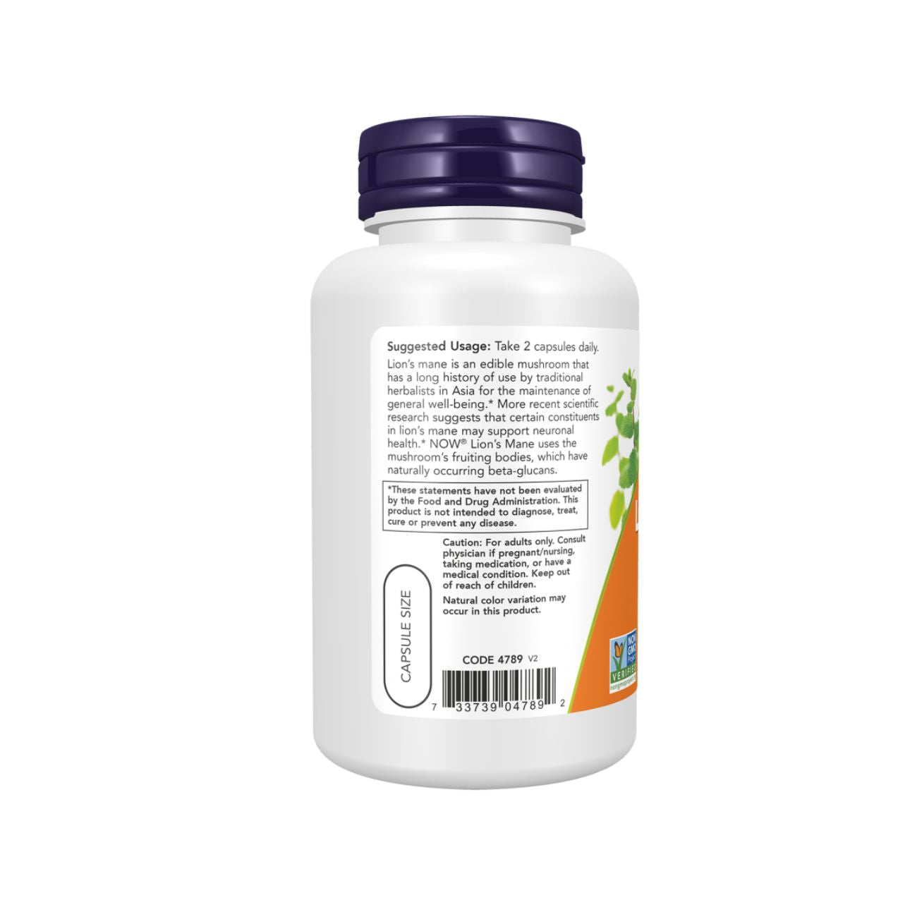 NOW Lion's Mane 500Mg
