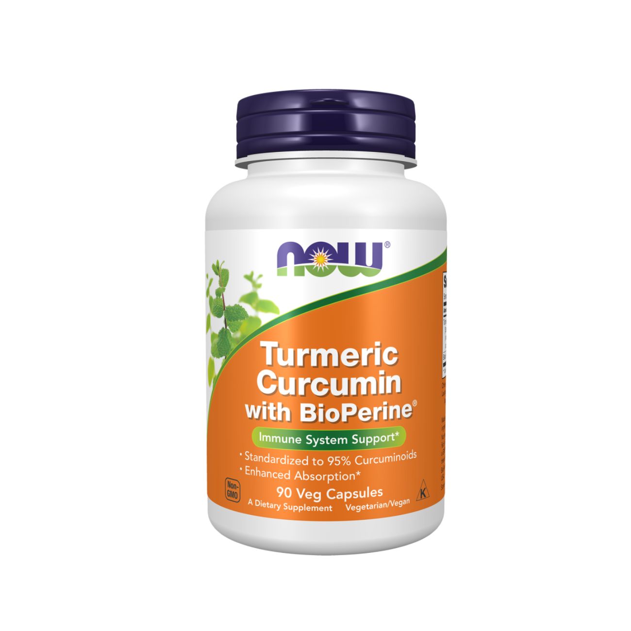 Turmeric Curcumin + Bioperine