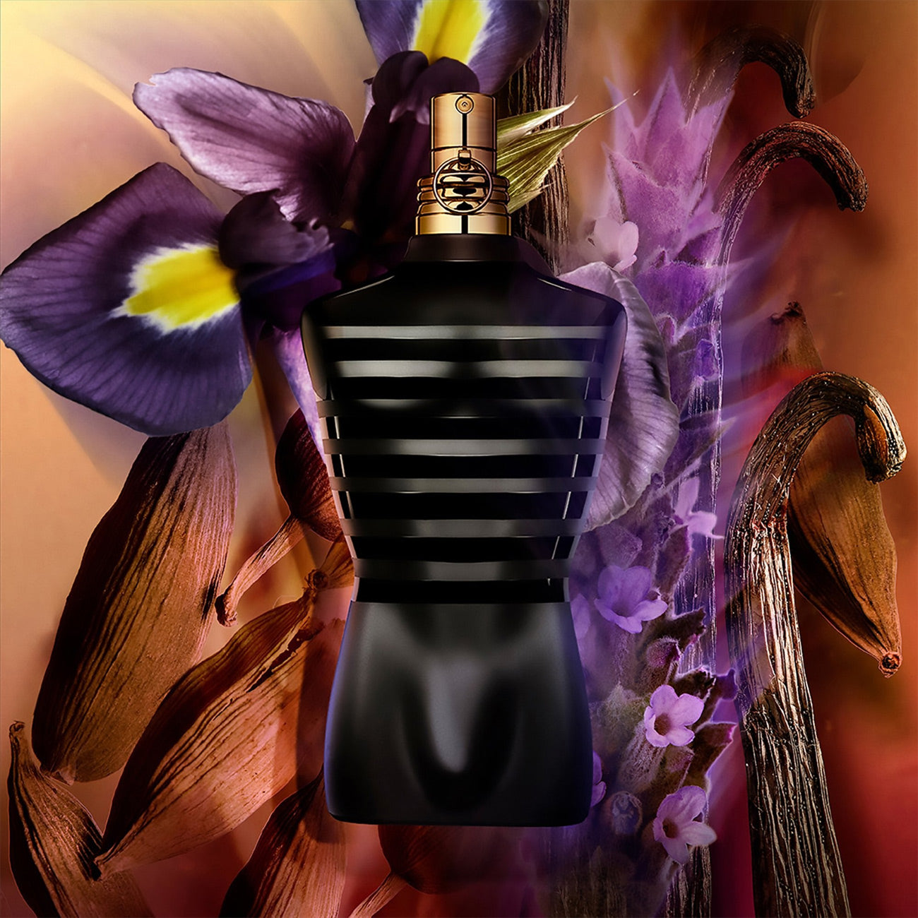 Le Male Eau De Parfum Intense