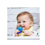 Fruit Pacifier & Teether