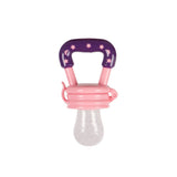 Fruit Pacifier & Teether