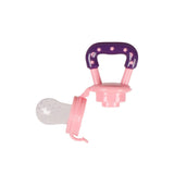 Fruit Pacifier & Teether