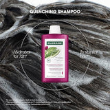 Klorane Prickly Pear Moisturizing Shampoo For Dehydrated, Dull Hair