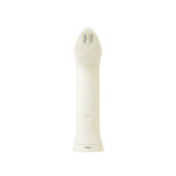 Age-R Booster Cleanser Head