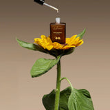 Safa Renewal Lip Oil