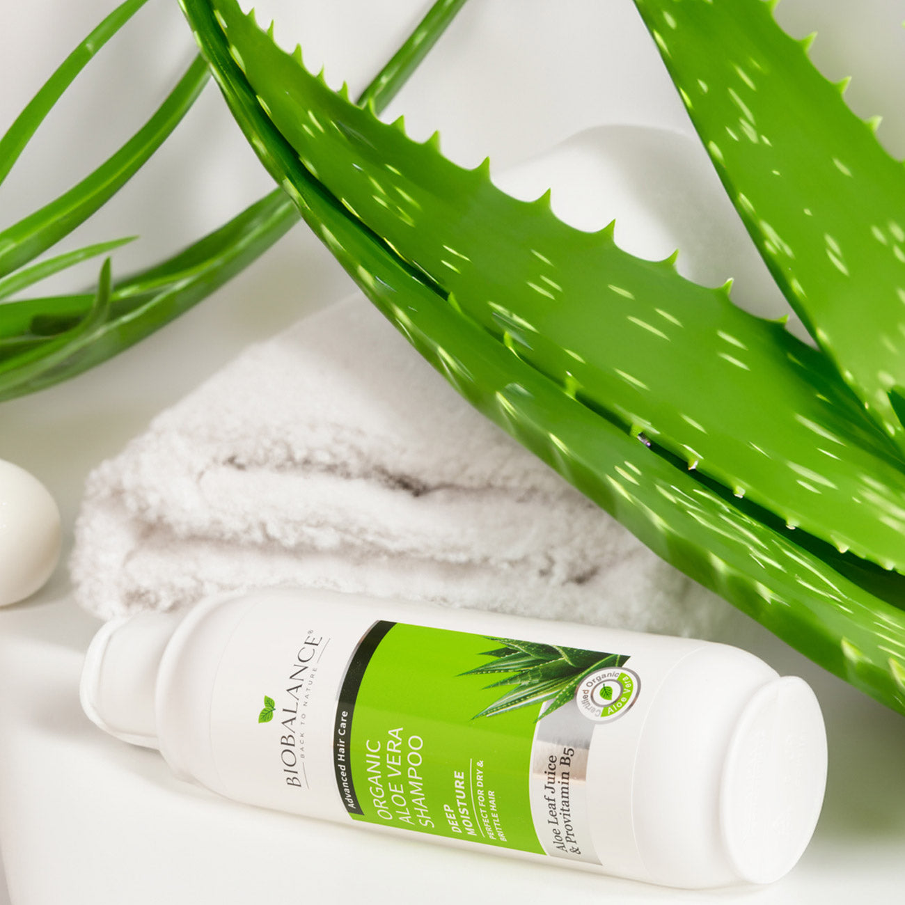 Organic Aloe Vera Shampoo Perfect For Dry & Brittle Hair