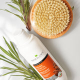 Organic Aloe Vera Shampoo Perfect For Dry & Brittle Hair