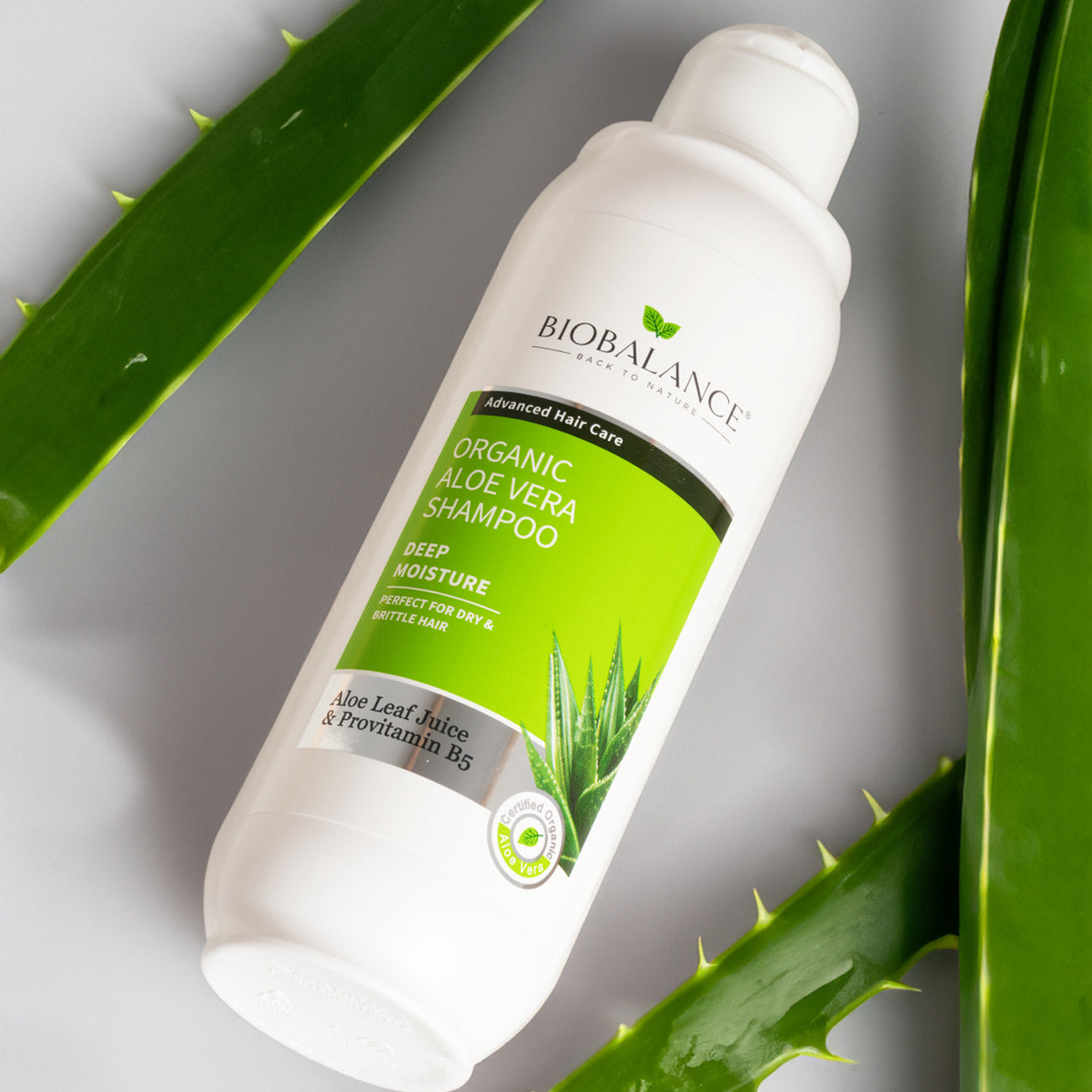 Organic Aloe Vera Shampoo Perfect For Dry & Brittle Hair